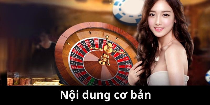 Nội dung cơ bản trong chính sách điều khoản và điều kiện